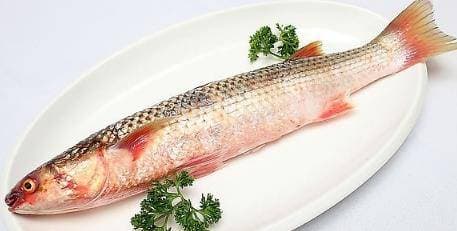 chăm sóc sức khỏe đúng cách, mạch máu bị chai cứng, chăm sóc sức khỏe mạch máu